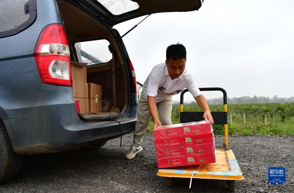 捕鱼游戏电脑版在线挣钱知乎